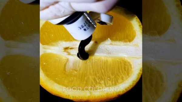 49 NEW MESMERISING science EXPERIMENTS to blow your mind || by 5-minute MAGIC