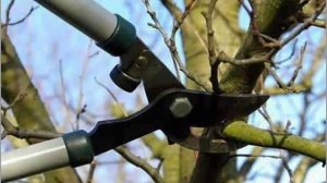 И в саду, и в огороде - 21.03.22 Работы в саду в марте