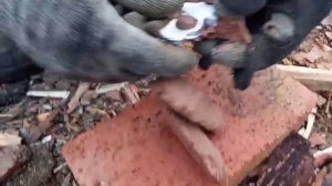 КЛЕММУ АККУМУЛЯТОРА СВОИМИ РУКАМИ!!✓ Это вообще возможно?!