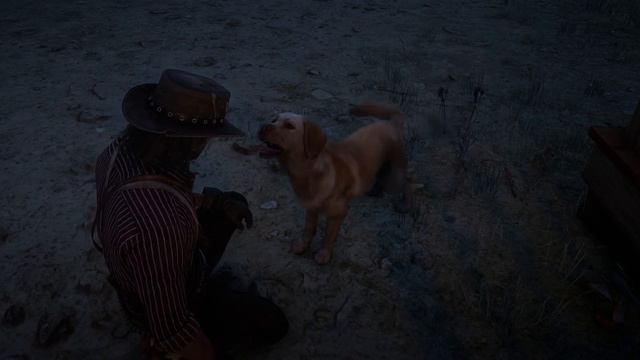 Petting Rufus смотреть онлайн