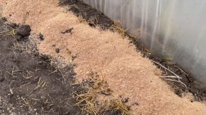 Подготовка теплиц к новому сезону. Внесли опилки и навоз