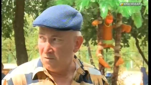 Домком украшает территорию в Краснодаре пластиковыми пальмами смотреть онлайн