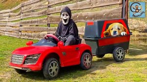 Дети и Машины. Диана, Даня и Монстры - погоня на машинах. Манкиту