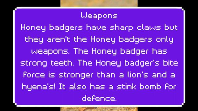 Who would win 1 Honey Badger vs Komodo Dragon смотреть онлайн