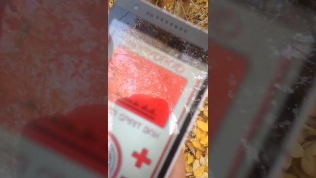 SPIRIT BOX!!!, ТЕСТ.....!