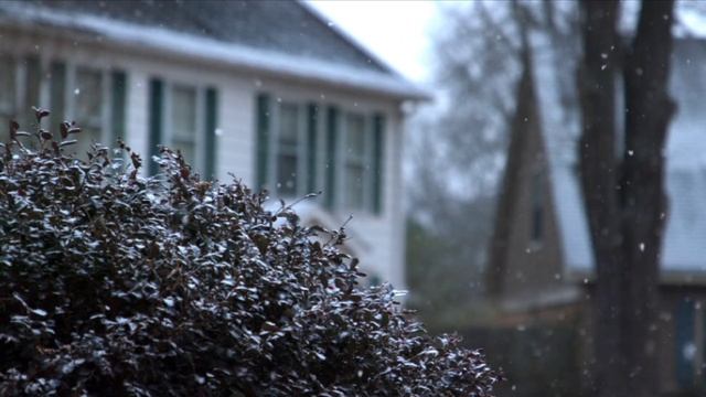 ? Calming Music, Silent Night, Deep Sleep Music, Healing Sleep, Cricket Sound, Meditation Sleep смотреть онлайн