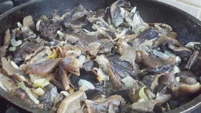 Сборник рецептов