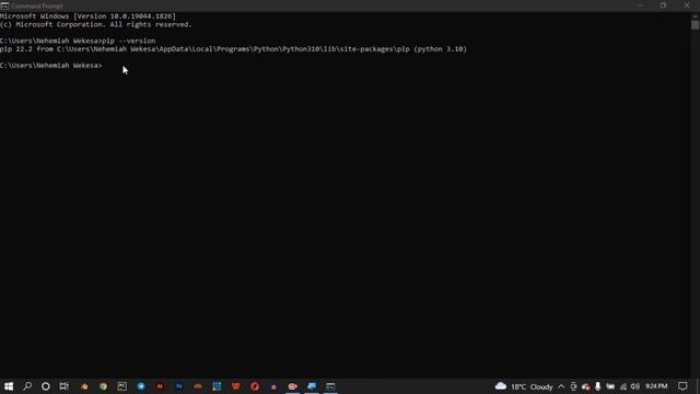 PYTHON PROGRAMMING. LESSON 28 || PYTHON PIP смотреть онлайн