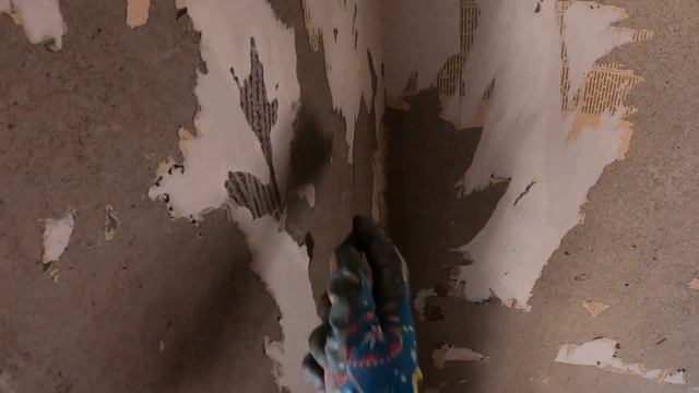 Купили дачу в деревне. Начали ремонт внутри домика. Сделали несколько коробов для грядок. смотреть онлайн