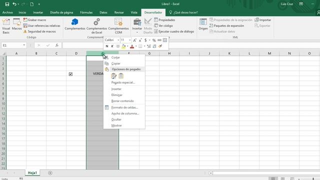 Agregar un checkbox (casilla de verificación) en Excel 2007, 2010, 2013 y 2016 смотреть онлайн