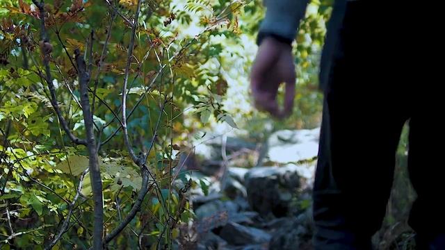 Olympus OM-D E-M10 Mark III & DJI Mavic mini.Cinematic video №1. Домбай смотреть онлайн