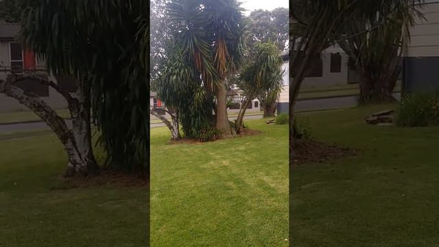 2001 Subaru Legacy Blitzen twin turbo смотреть онлайн