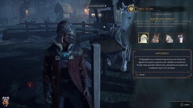 Hogwarts Legacy - ¿Cómo conseguir el trofeo "La naturaleza animal"? смотреть онлайн
