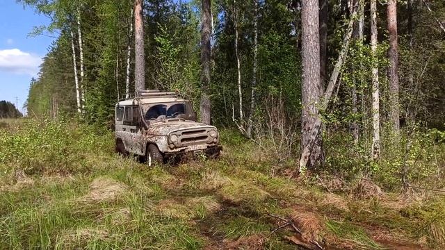 Волчья петля. весна 2021 смотреть онлайн