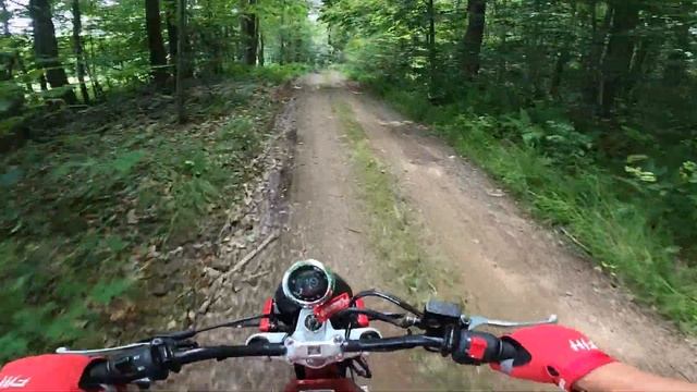 HONDA MONKEY DUAL-SPORT ADVENTURE RIDING! | Mountain Roads and how I got there смотреть онлайн