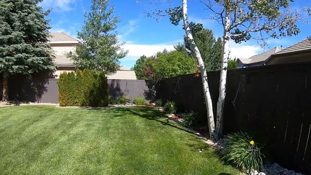 Дом врача в США