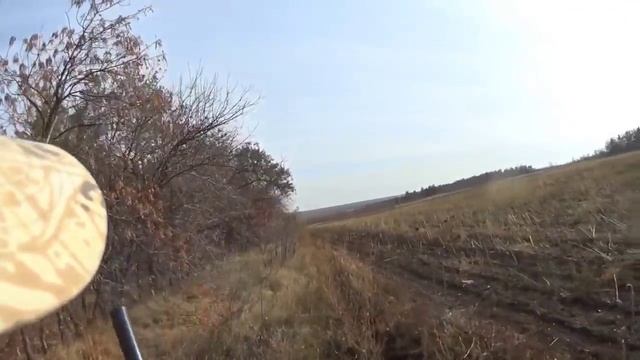 Охота на зайцев - Пока 1_0)) Зайчик ведёт)) смотреть онлайн