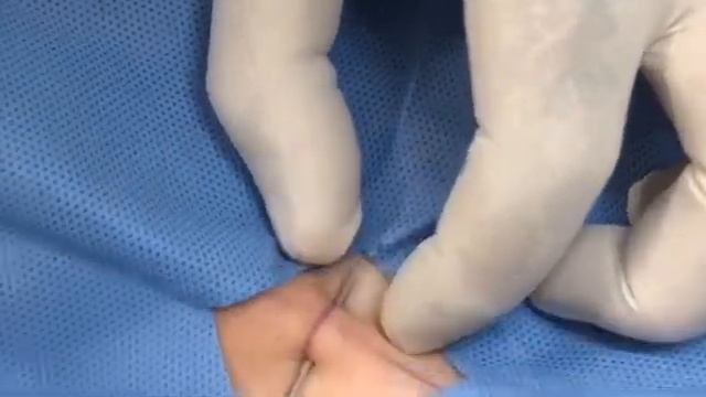 Pubic Surface Flat смотреть онлайн