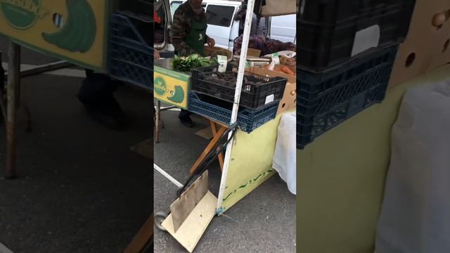 Новороссийск #гдежить #море #ярмарка# рыба есть!!! смотреть онлайн