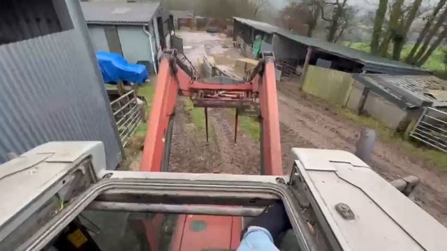 THE STRAW CHOPPER IS WORKING!! | A MORNING ON THE FARM | COWS смотреть онлайн