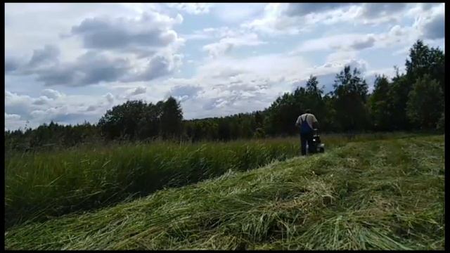 Косим сено под дождем. смотреть онлайн