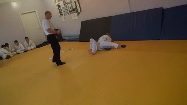 Онищенко - Иконников . День борьбы 17 октября 2013. Дзюдо. смотреть онлайн