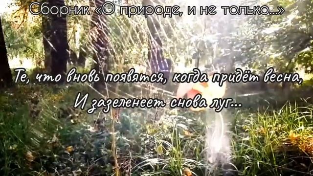 В ПАУТИНЕ ОСЕНИ ЗАПУТАЛСЯ ЛИСТОК... смотреть онлайн