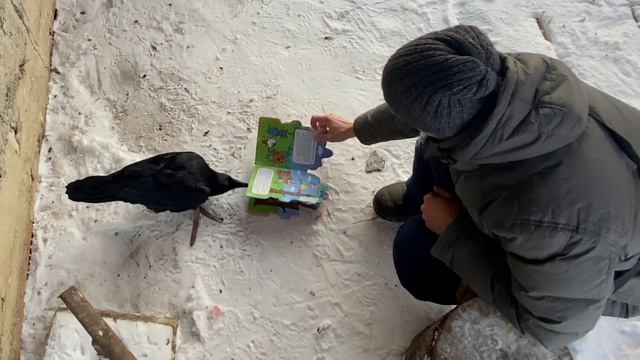 Учу вОрона читать детскую книгу / Подарок от подписчицы смотреть онлайн