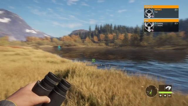 How to Get Closer Shots in theHunter Call of the Wild! смотреть онлайн