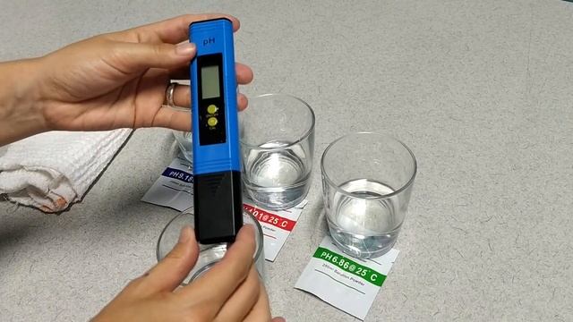 Calibrar fácil un Medidor de pH correctamente | un te con Daniela смотреть онлайн
