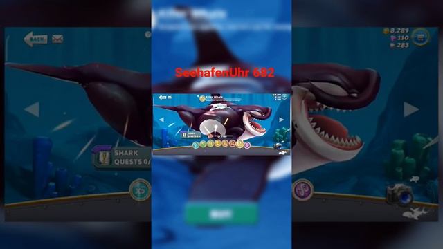 UNLOCKING THE Killer Whale/Orca Whale смотреть онлайн