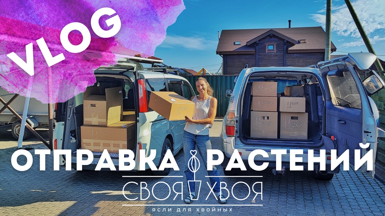 Отправка растений СДЭК|Собираем ваши заказы смотреть онлайн