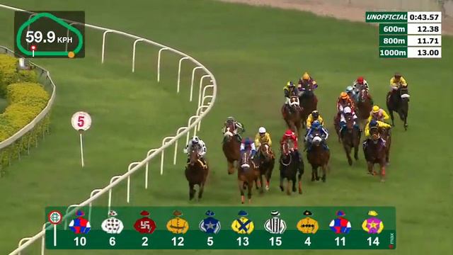 BRIAR RIDGE HORSE WINS THE Osman Sagar Cup смотреть онлайн