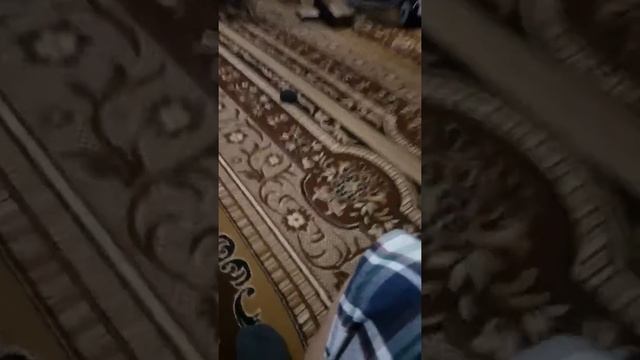 Пугливый кот ржачь!!!! смотреть онлайн