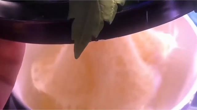 Гидропоника в домашних условиях от А до Я смотреть онлайн