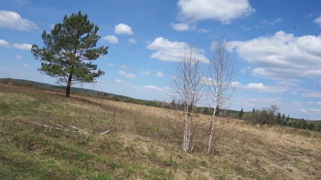 Ново Разводная -Пивовариха - р. Ушаковка- Худяково- Новая Лисиха смотреть онлайн
