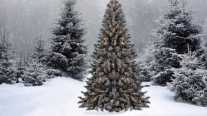 В лесу родилась Елочка песенка