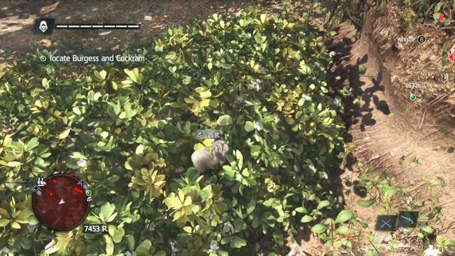 Assassin's Creed 4 Black Flag Gameplay Walkthrough Part 25 - Africa (AC4)