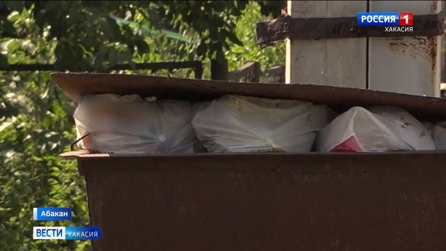 По улице Маяковского в Абакане уже 3 месяца не видели мусоровоз смотреть онлайн