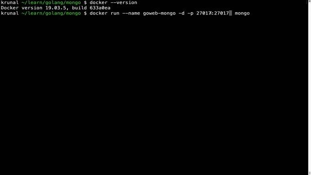 RESTful API in Golang using Echo - quick local setup of mongodb смотреть онлайн