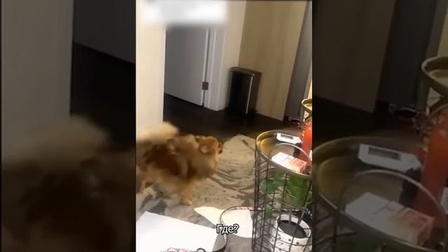 страхатень часть 1 смотреть онлайн