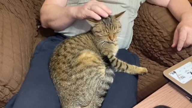 ЧИСТИМ СНЕГ СНЕГОУБОРЩИКОМ / КОЛБАСА У НАС БЫЛА / ЖИЗНЬВ ВОРОНЕЖСКОЙ ГЛУБИНКЕ смотреть онлайн