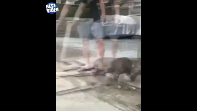 К такому лучше не лесть) смотреть онлайн