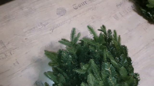 обзор ели Royal Christmas Idaho Premium