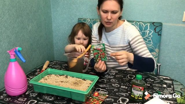 Как сеять землянику на рассаду смотреть онлайн