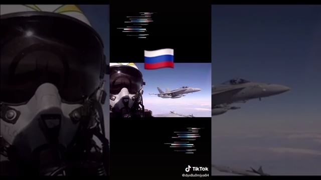 Наш летчик дал  по сусалам