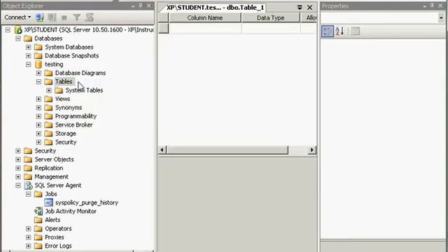 SQL Server 2008 - Using Management Studio смотреть онлайн