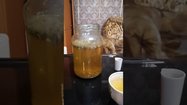 Сурица. Мощная и эффективная чистка организма. Полыни горькой трава. смотреть онлайн