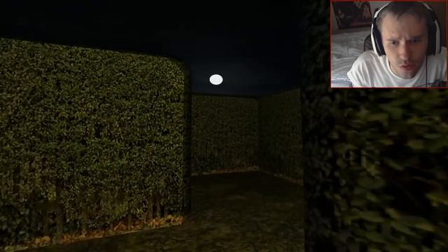 Scary Games - Slender Claustrophobia w/ Reactions & Facecam смотреть онлайн
