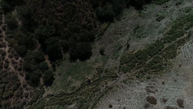 WELL ИСТОЧНИК 96ГА С АРТЕЗИАНСКИМ ИСТОЧНИКОМ смотреть онлайн